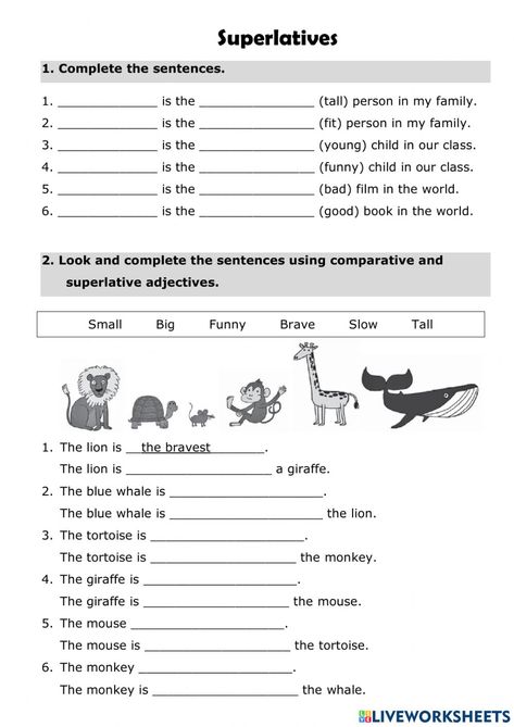 Superlatives Worksheet, Adjectives For Kids, Middle School Esl, Weather Worksheets, English Grammar Exercises, Grammar Exercises, Superlative Adjectives, Comparative Adjectives, English Worksheets For Kids