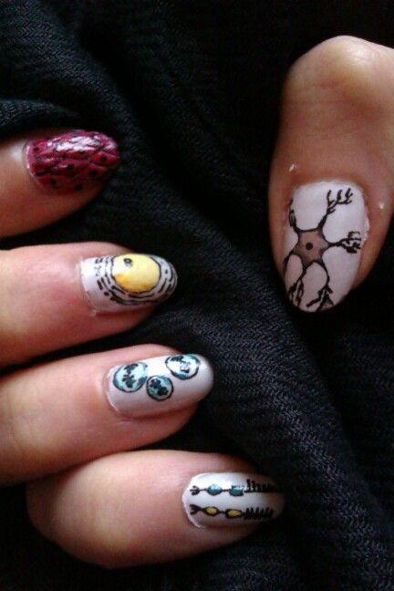 Science Nails | More biology / cells nails Biology Nail Art, Biology Nails, Science Nails, Cells Biology, Cosima Niehaus, Nice Nails, Beauty Aesthetic, Yellow Nails, Anatomy Art