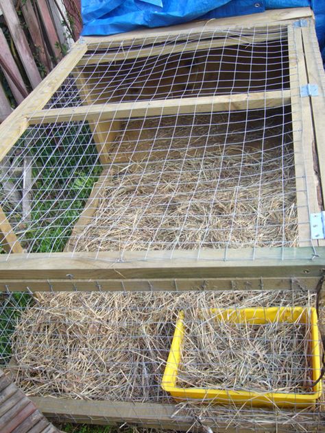 Outdoor Rabbit, Bunny Hutch, Rabbit Breeds, Wild Rabbit, Bunny Cages, Window Well, Little Critter, A Bunny, Free Range