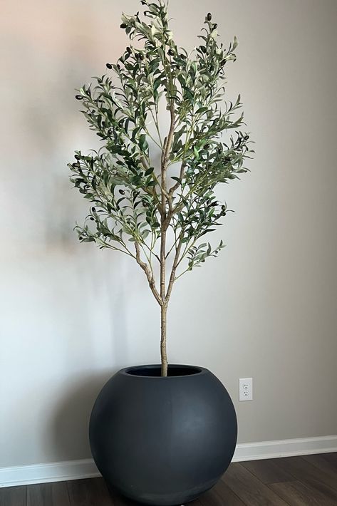 Crate And Barrel Planters, Round Plant Pot, Sphere Decor Ideas, Large Indoor Potted Plants, Large Plant Living Room, Large Planters Indoor, Plant Arrangements Indoor, Large Vases Decor Ideas, Contemporary Living Room Grey