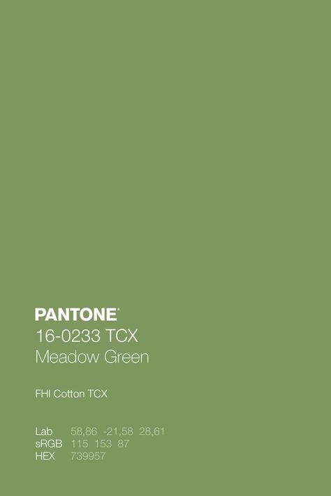 Pantone Green Shades, Mood Boards Color, Green Color Code, Colour Pantone, Green Pantone, Pantone Green, Color Library, Green Core, Pantone Colour Palettes