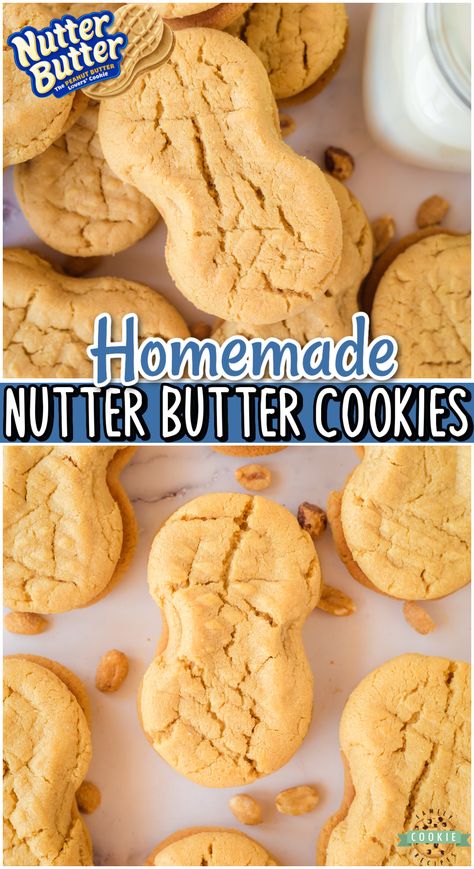 Homemade Nutter Butters are soft, chewy cookies that are so much better than the store-bought! Sweet & packed with great flavor, these copycat peanut butter cookies are a hit! Copycat Peanut Butter Cookies, Copycat Cookies, Soft Chewy Cookies, Chewy Cookies, Nutter Butter Cookies, Nutter Butter, Butter Cookies Recipe, Peanut Butter Lovers, Best Cookie Recipes