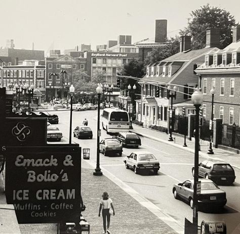 View from an apartment in the 1300 block of Massachusetts Ave. Matthew Costello, 1989 Ice Cream Muffins, Harvard Square, Cambridge Massachusetts, Coffee Cookies, Cambridge Ma, An Apartment, Massachusetts, Cambridge, New England