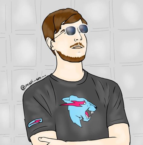 Jimmy Donaldson, Mr Beat, Web Design Websites, Mr Beast, Beast Wallpaper, Mr. Beast, Anime Version, Art Line, A Beast