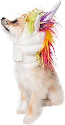 Pet Krewe Dog & Cat Unicorn Costume, Small - Chewy.com Unicorn Dog Costume, Costume For Dogs, Unicorn Dog, Pet Costumes Cat, Unicorn Costume, Unicorn Cat, Dog Halloween Costumes, Dog Costumes, Dog Costume