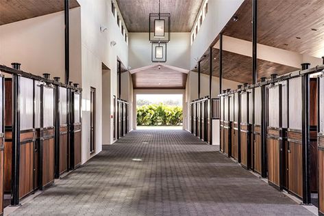 Interior of the horse barn with lots of natural light and lighting Luxury Horse Stables, Luxury Horse Barns, Dream Barn Stables, Equestrian Stables, Equestrian Barns, Stable Style, Barn Stalls, Horse Barn Designs, Dream Stables