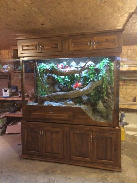 Boa enclosure Boa Enclosure, Red Tail Boa, Savannah Monitor, Snake Cages, Terrariums Diy, Diy Reptile, Snake Terrarium, Snake Enclosure, Gecko Terrarium