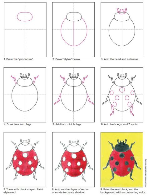 How to Draw a Ladybug · Art Projects for Kids Ladybug Art Projects For Kids, How To Paint A Ladybug, Ladybug Art Drawing, Insects Drawing For Kids, How To Draw Ladybug, Insect Art For Kids, Bug Art For Kids, Easy Ladybug Drawing, How To Draw Bugs