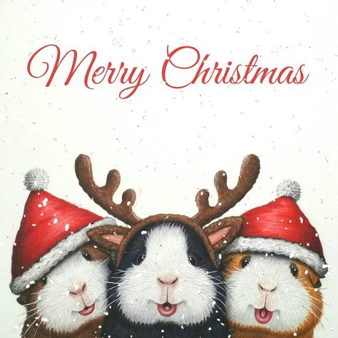 mona gulli on Instagram: “I wish you all a merry and peaceful Christmas, and hope you get to spend it with the ones you love❤. I'm spending Christmas eve with my…” Merry Christmas Aesthetic, Peaceful Christmas, Hamster Diy, Pig Pictures, Pig Art, Summer Christmas, Merry Christmas Eve, Watercolor Christmas Cards, Christmas Cards To Make