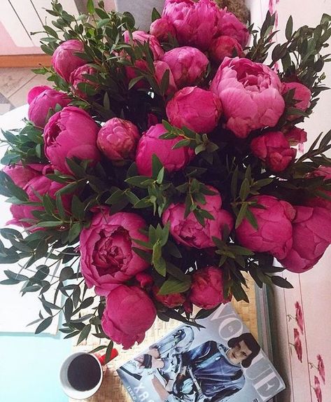 Hot Pink Peonies, Flowers Instagram, Pink Peony, Flower Lover, Beautiful Blooms, Pink Peonies, Love Flowers, My Flower, Pretty Flowers