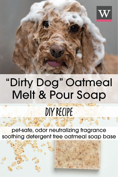 Diy Dog Soap Recipe, Dog Soap Bar Recipe Melt And Pour, Dog Soap Bar Recipe, Dog Soap Recipe, Dog Oatmeal, Diy Dog Shampoo, Dog Balm, Dog Shampoo Bar, Diy Oatmeal