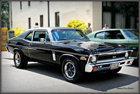 1970 Nova, 66 Nova, Chevy Nova Ss, Chevy Ss, Chevy Muscle Cars, Chevrolet Nova, Chevy Nova, 1957 Chevrolet, Old School Cars