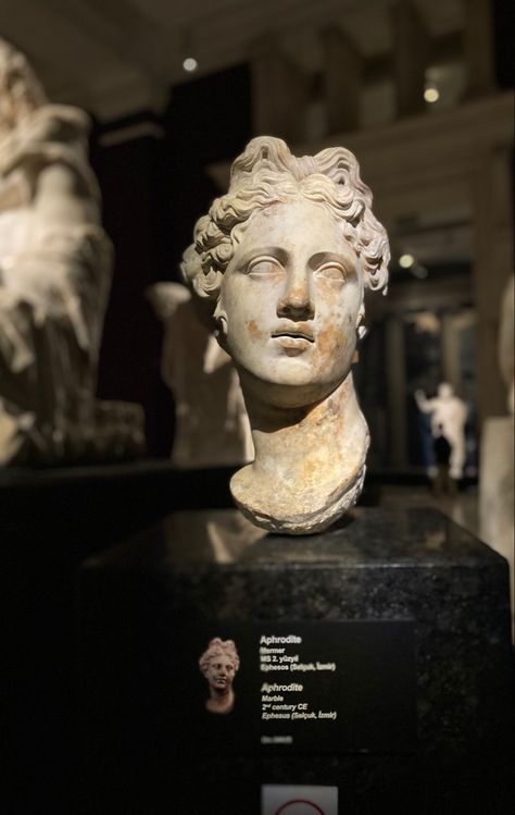 Greek Sculpture Aphrodite, Aphrodite Greek Statue, Greek Statues Aphrodite, Aphrodite Face, Aphrodite Bust, Aphrodite Greek Mythology, Aphrodite Sculpture, Sculpture Greek Mythology, Aphrodite Statue