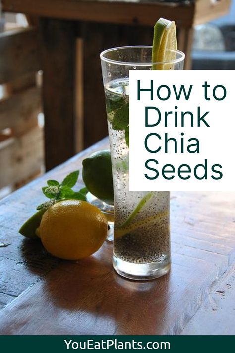 Soak Chia Seeds, Chia Seed Drinks, Chia Seed Water, Healthy Foods To Make, Seeds Benefits, Chia Seeds Benefits, Healthy Food Menu, Chia Seed Recipes, Food Advice