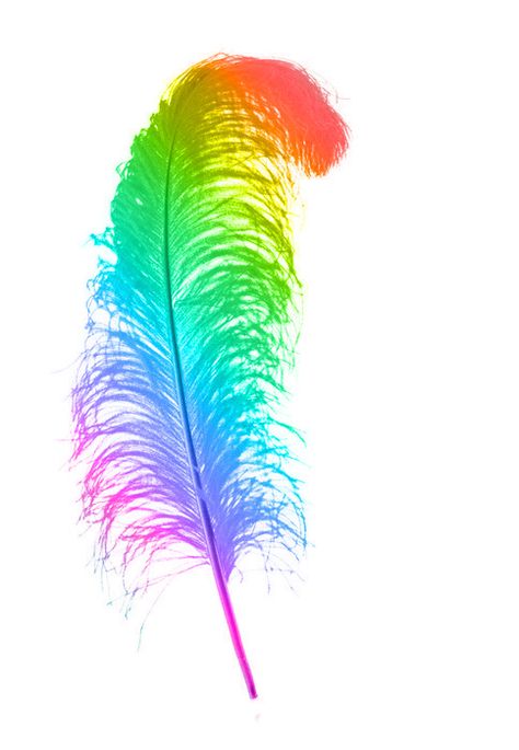 Rainbow Blitz, Rainbow Stuff, Rainbow Feather, Colorful Things, Colour Full, Rainbow Connection, Desktop Wallpaper Pattern, Color Vibe, Rainbow Colours