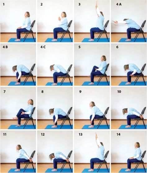 Chair Yoga - The Sun Salute - Sivananda Yoga Vedanta Centres Yoga Variations, Yoga Sun Salutation, Sivananda Yoga, Mountain Pose, Chair Yoga, Knee Up, Yoga Teacher Training, Teacher Training, Yoga Teacher