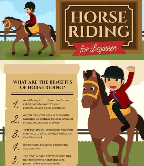 Mental Activities, Horseback Riding Tips, Riding Tips, Summer Camp Activities, Camp Activities, Horse Info, Horse Names, Horse World, Horse Owner