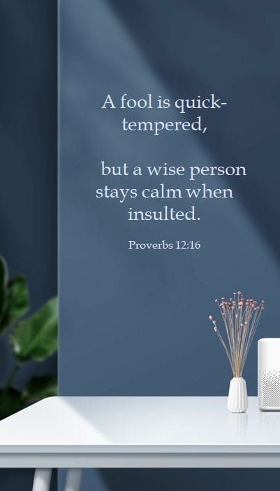 ‭Proverbs 12:16 AMP‬ [16] The [arrogant] fool’s anger is quickly known [because he lacks self-control and common sense], But a prudent man ignores an insult. ‭Proverbs 12:16 MSG‬ [16] Fools have short fuses and explode all too quickly; the prudent quietly shrug off insults. Beautiful Scriptures, Short Fuse, Encouraging Verses, Proverbs 12, Wise Person, Beautiful Scripture, Favorite Scriptures, Powerful Bible Verses, Bible Love