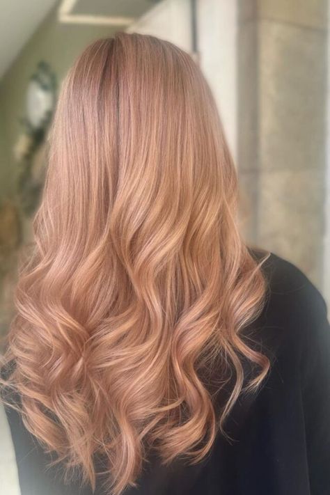 Add a hint of red to your beige using strawberry blonde tones. This warm, inviting color will add brightness to your look and set the tone for a never-ending good hair day./photocredit:@jenboxall Strawberry Blonde Hair Color Curly, Rose Beige Blonde Hair, Cool Tone Strawberry Blonde Hair, Strawberry Beige Hair, Strawberry Blonde Hair Formula, Warm Beige Blonde Hair, Strawberry Beige Blonde Hair, Apricot Blonde Hair, Golden Strawberry Blonde Hair