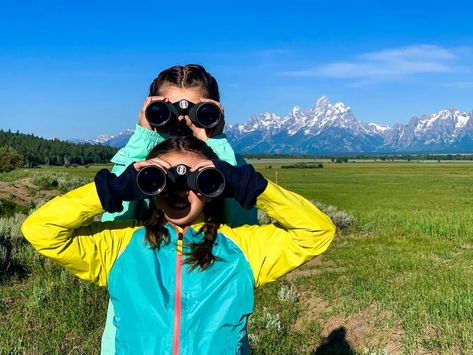 Snake River Scenic Float Trip | Grand Teton Wildlife Tours Float Trip, Wildlife Safari, Safari Tour, Jackson Hole, Great View, Float, National Parks