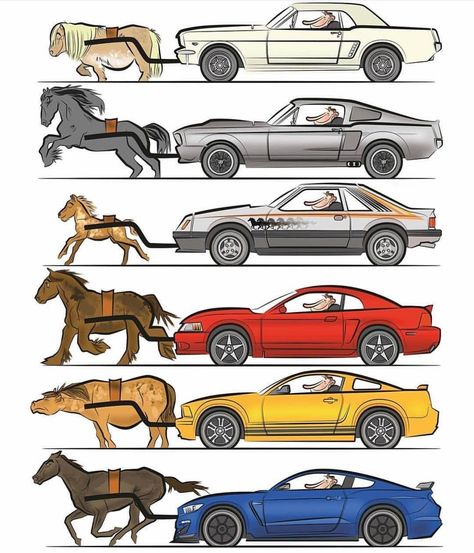 Kereta Sport, Shelby Gt 500, Car Memes, Mustang Cars, Mustang Shelby, Car Drawings, Koenigsegg, Ford Mustang Gt, American Muscle Cars