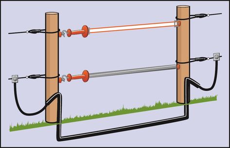 How to set up electric fencing for cattle and sheep | AHDB Electric Fence Ideas, Farm Fencing, Electric Fencing, Fence Gates, Horse Farm Ideas, Barn Hacks, Deer Fence, Metal Gate, Horse Fencing