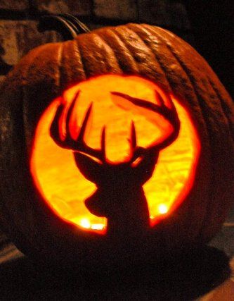 Elk Pumpkin Carving, Deer Pumpkin, Halloween Pumpkin Ideas, Deer Tags, Pumpkin Carving Stencils Free, Halloween 23, Deer Camp, Pumpkin Contest, Pumpkin Carving Designs