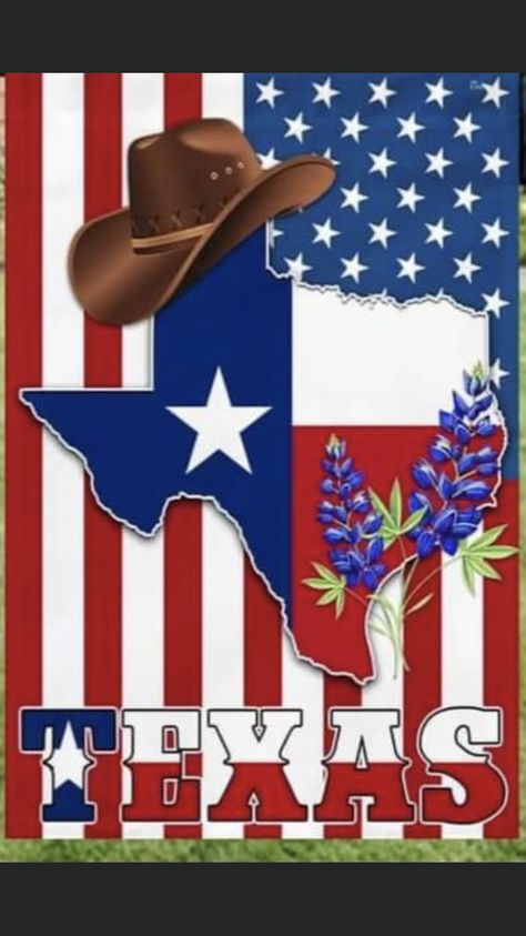 Texas Quotes, Texas Adventure, Only In Texas, Texas Western, Texas Life, Patriotic Pictures, Texas Forever, Texas Art, Texas Girl