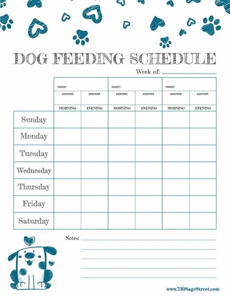 Dog Feeding Schedule, Puppy Feeding Schedule, Americana House, Pet Care Printables, Pet Care Instructions, Pet Health Record, Dog Printable, Daily Schedule Template, Food Review