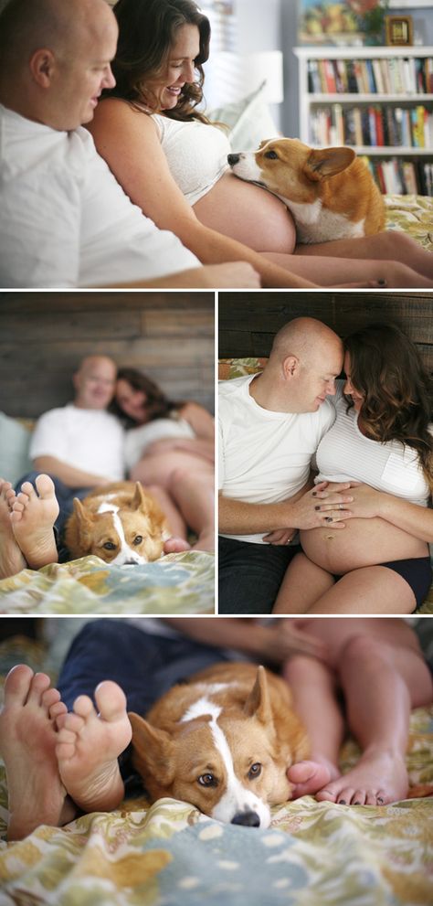 April Peet Maternity Photos in Central California Pictures With Puppy, Maternity Shots, Maternity Ideas, Maternity Inspiration, Maternity Shoot, Photo Couple, Newborn Pictures, Maternity Photos, Baby Bump