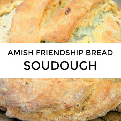 Amish Friendship Bread Starter Recipes Cookies, Friendship Sourdough Starter, Sourdough Amish Friendship Bread, Amish Starter Bread Recipes, Amish Friendship Bread Recipes From Starter, Sourdough Friendship Bread, Amish Friendship Bread Starter Recipes Sourdough, Amish Friendship Bread With Starter, Recipes With Amish Bread Starter