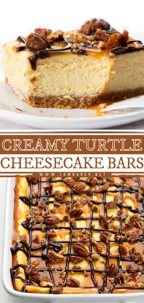 Easy Turtle Cheesecake Recipes No Bake, Turtle Topping For Cheesecake, Cheesecake Bars Chocolate, Turtle Cheesecake Bars Recipe, Turtle Cheesecake Bites, Candy Bar Cheesecake Recipes, Mini Turtle Cheesecake Recipe, Cheesecake Bar Recipes Easy, Turtle Pecan Cheesecake