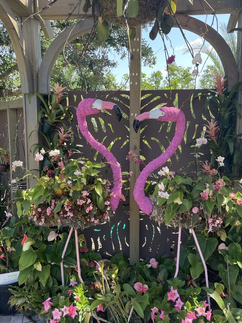 Flamingo Garden Ideas, Garden Ideas Diy, Leoma Lovegrove, Garden Aesthetics, Indie Decor, Flamingo Garden, Carolina House, Garden Fun, Flamingo Decor