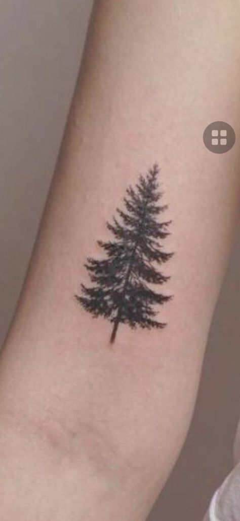 Norway Spruce Tattoo, Spruce Tattoo, Norway Spruce, White Spruce, Flash Tattoo Designs, Flash Tattoo, Tatting, Tattoo Designs, Cute Outfits