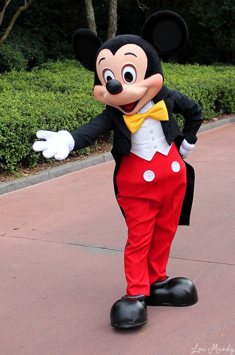 Mickey Mouse | disneylori | Flickr Epcot Characters, Russel Up, Mickey Costume, Characters Costumes, Disney Characters Costumes, Mickey Mouse Costume, Wizard Costume, Disney World Characters, Up Costumes