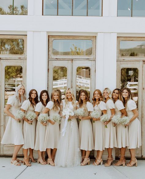 Bridal Party Photos Bridesmaid, Bride With Bridesmaids Poses, Fall Wedding Bridal Party Colors, Tan Bridal Party, Bridesmaid Picture Ideas, Temple Poses, Big Bridal Party, Large Bridal Party, Bridal Parties Colors