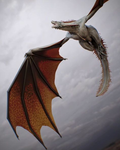 House Of The Dragon Dragons Art, Meraxes Dragons, Dragons Game Of Thrones, Got Dragon, Targaryen Dragons, Dragon Game Of Thrones, Drogon Game Of Thrones, Ursula K Le Guin, Queen Of Dragons