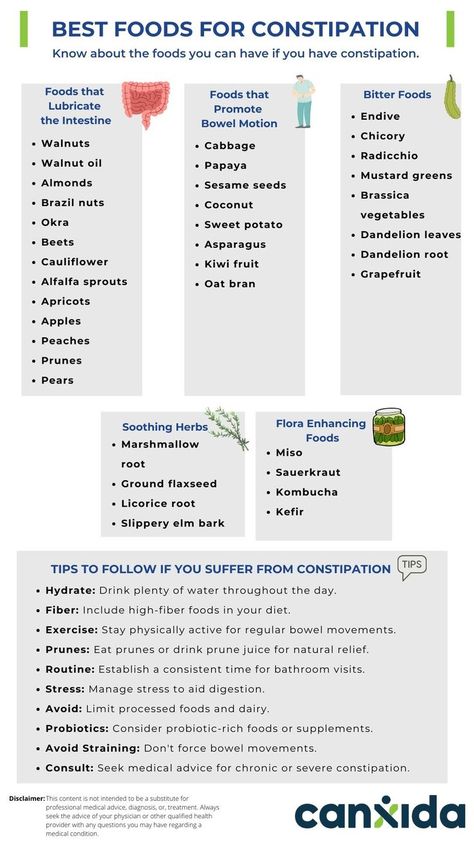 Know about the foods you can have if you have constipation.
Here's the list of Best Foods for Constipation. Food For Constipation, Foods For Constipation, Best Foods For Constipation, Constipation Food, High Fiber Foods, Fiber Foods, High Fiber, Best Foods, The List