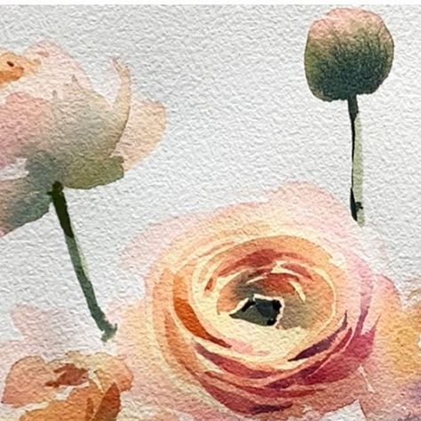 Watercolor Ranunculus, Painting Symbols, Ranunculus Bouquet, E Flowers, White Ranunculus, Watercolour Ideas, Watercolor Spring, Draw Flowers, Sketchbook Illustration