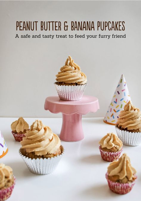 Dog Safe Cake Recipe, Butter Cupcake Recipe, Dog Birthday Cake Recipe, Dog Cake Recipes, Cake Dog, Your Dog, Peanut Butter And Banana, Dog Cupcakes, Peanut Butter Cupcakes