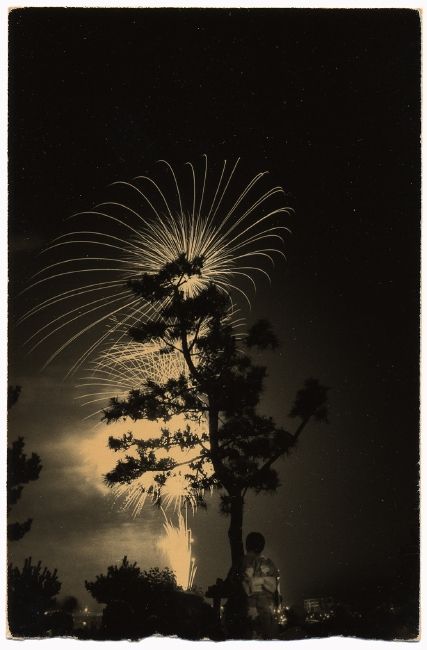 masao yamamoto Masao Yamamoto, Aichi, Contemporary Photographers, Freelance Photographer, Japanese Artists, Artistic Photography, Bw Photo, Black And White Photography, A Tree