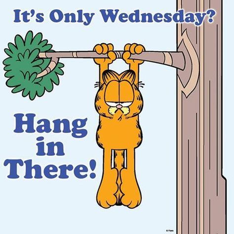 Hang In There Quotes, Garfield Quotes, Wednesday Greetings, Garfield Pictures, Funny Cartoon Images, Wednesday Humor, Garfield Cartoon, Happy Wednesday Quotes, Morning Memes