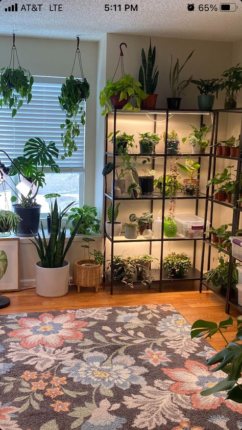 Apartment Balcony Greenhouse, Plants On Clothing Rack, Glass Shelves With Plants, Indoor Plant Lighting Ideas Living Room, Diy Plant Storage, Plant Grow Room, Indoor Houseplant Display, House Plant Set Up, Plant Area Indoor