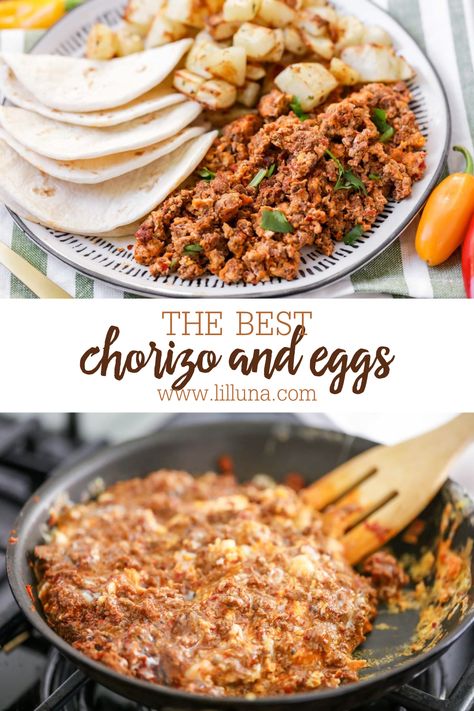 Spicy and rich chorizo and eggs make the yummiest way to start your day! Serve them with tortillas for a classic Mexican breakfast. #chorizoandeggs #chorizo #spicychorizoandeggs #breakfast #spicychorizo Chorizo Breakfast, Chorizo And Eggs, How To Cook Chorizo, Chorizo Recipes, Food Type, Mexican Breakfast Recipes, Mexican Breakfast, Tacos And Burritos, Breakfast Tacos