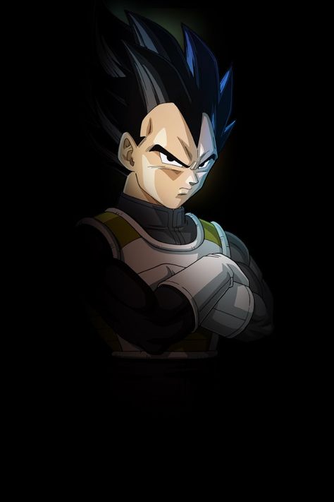 Vegeta Artwork, Dragon Ball Z Iphone Wallpaper, Goku Y Vegeta, Dragon Z, Dragon Ball Painting, Dragon Ball Super Wallpapers, Dragon Ball Super Goku, Dragon Ball Image, Goku And Vegeta