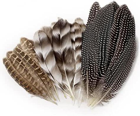 Amazon.com: Feathers Decorative Feathers, Craft Feathers, Feather Centerpieces, Pheasant Feather, Feather Mask, Pheasant Feathers, Feather Crafts, Turkey Feathers, Diy Hat