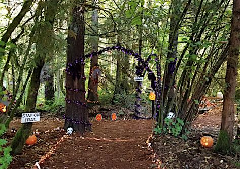 The Wenzel Farm Halloween Fantasy Trail has been entertaining Oregon families for almost three decades. You'll love this spooky trail! Haunted Trail Ideas, Scary Woods, Farm Halloween, Pnw Adventures, Halloween Forest, Diy Halloween Witch, Haunted Trail, Spooky Woods, Haunted Woods