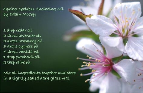 Recipe for Ostara oil Faery Queen, Cypress Oil, Spring Lambs, Cedar Oil, Vanilla Oil, Vernal Equinox, Patchouli Oil, Spring Equinox, Body Is A Temple