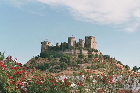 Castillo de Almodovar de Rio Tyrell Aesthetic, Got Houses, Asoiaf Aesthetic, Watchers On The Wall, House Tyrell, Site History, Margaery Tyrell, Great House, The Middle Ages