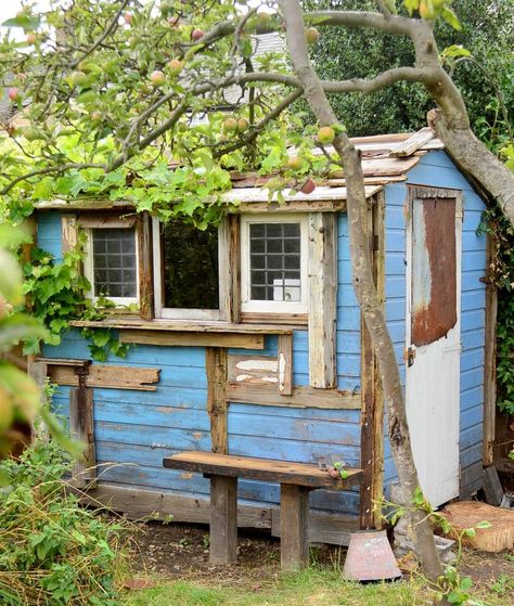 allotment-sheds Allotment Plan, Allotment Shed, Tiny Cottages, Allotment Ideas, Shed Tiny House, Tiny House Blog, Shed Interior, Summer Houses, Allotment Gardening